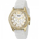 Часы женские Fossil Riley Gold Tone Multifunction ES2348